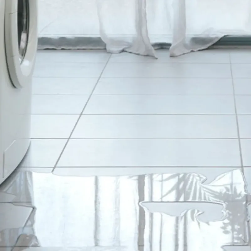 Appliance Leak Cleanup in Loudon County, TN