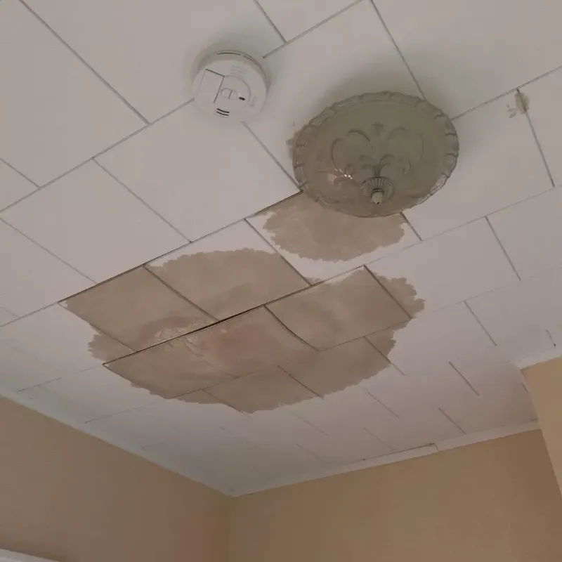 Ceiling Water Damage Repair in Loudon County, TN
