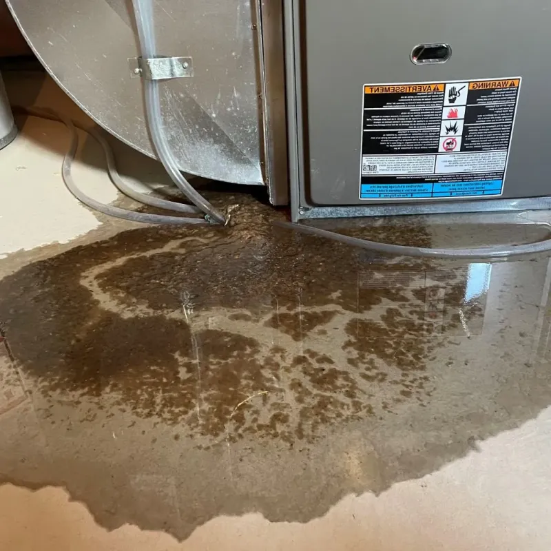 Pipe Burst and Leak Restoration in Loudon County, TN