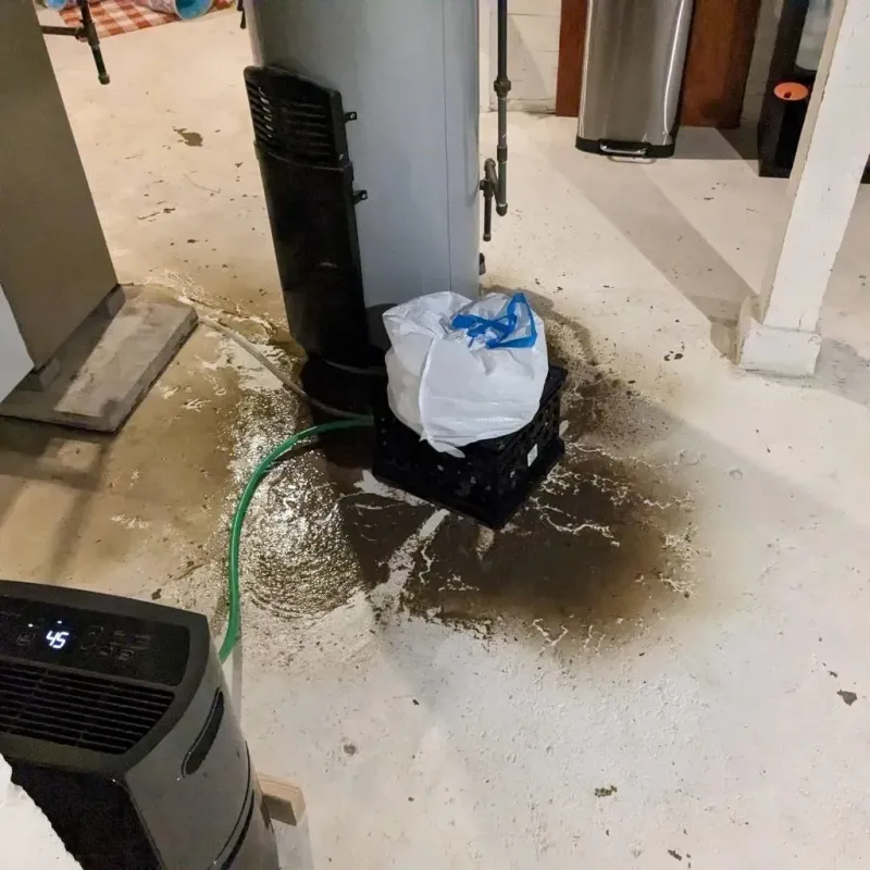 Sewage Backup Cleanup Service in Loudon County, TN